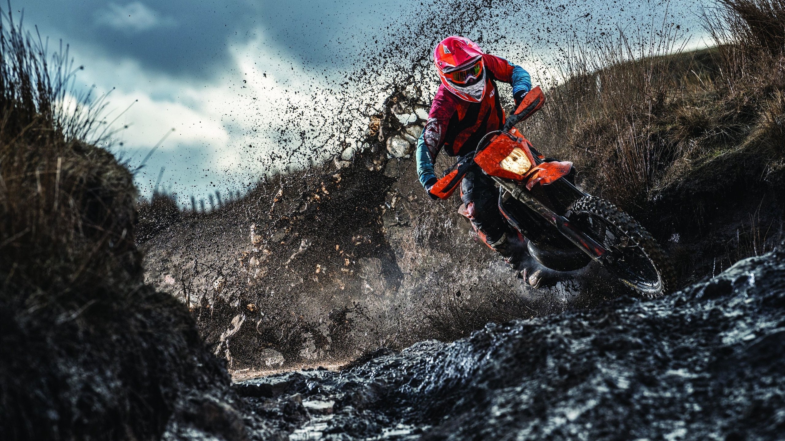 全球体育赛事投资机会